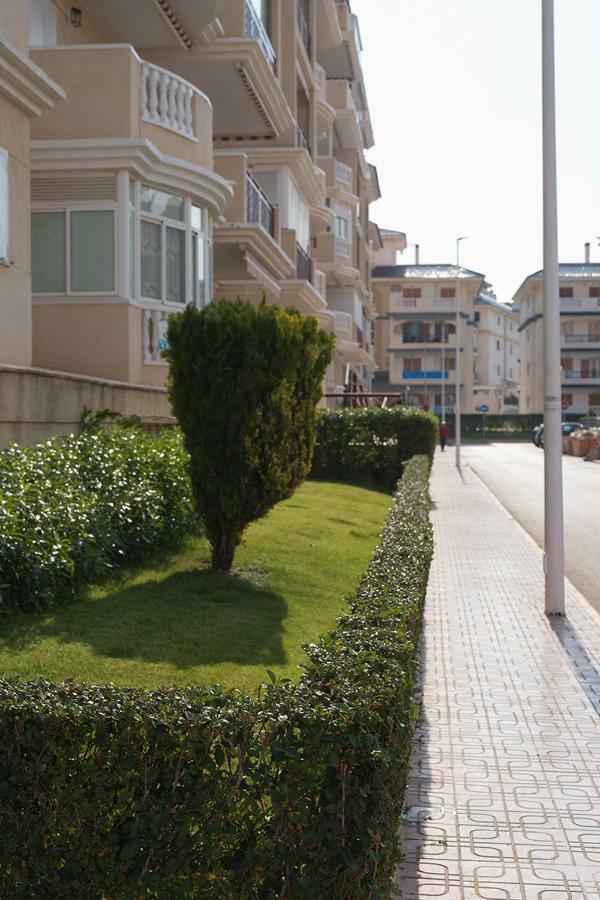 Apartment Sunny La Mata La Mata  Exteriör bild