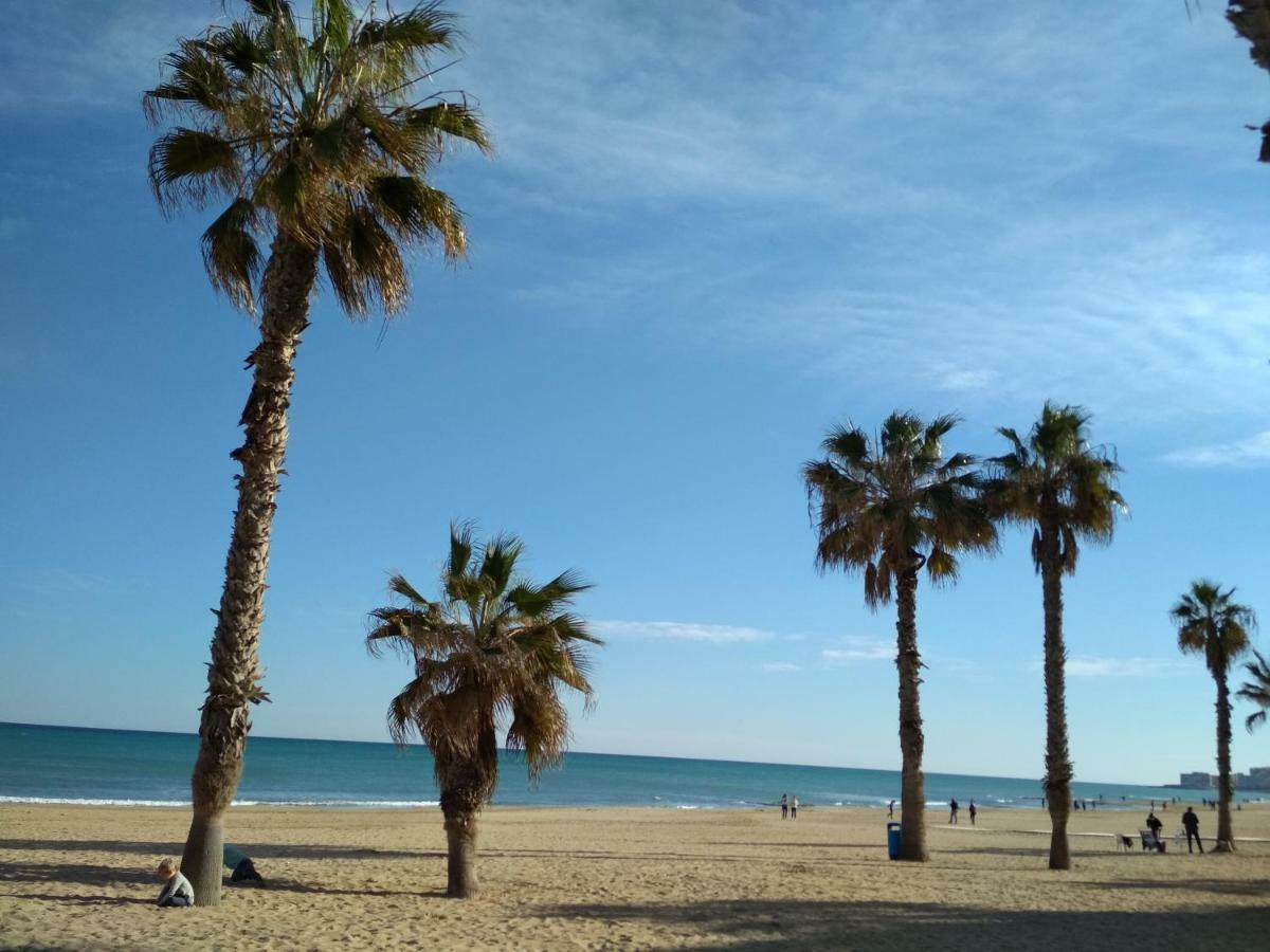 Apartment Sunny La Mata La Mata  Exteriör bild